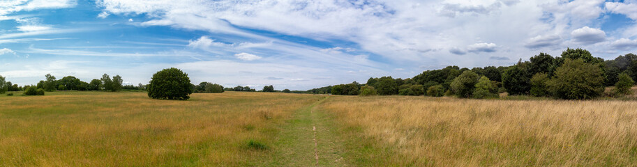 Obraz premium cloud, clouds, common, country, countryside, field, flowers, footpath, forest, grass, grassland, harpenden, harpenden dry valley, heartwood forest, hertfordshire, herts, landscape, meadow, nature, no 
