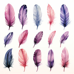 Watercolor feather closeup isolated on background