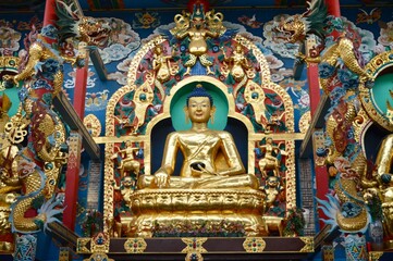 Fototapeta premium Golden buddha statue at Namdroling Monastery