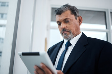 Fototapeta premium Business, app or senior man with a tablet, online reading or connection with network, email or digital information. Consultant, employee or entrepreneur with technology, schedule planning on calendar
