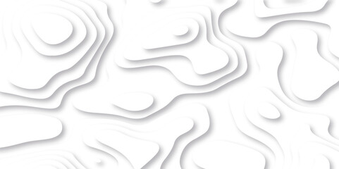 Fototapeta na wymiar Panorama view gradient multicolor wave curve lines banner background design. Vector illustration. Black and white topography contour lines map isolated on white background.