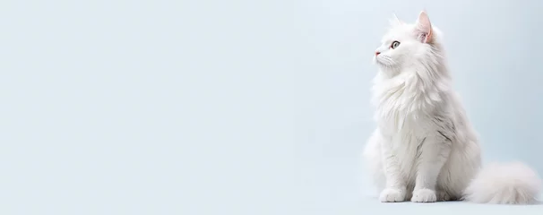 Outdoor-Kissen white cat with white background © PNG River Gfx