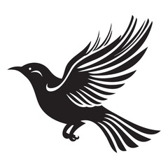 bird silhouette. Isolated vector on a white background