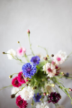 Bouquet of summer cornflowers in a vase. Blurred  background