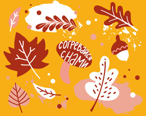 Fototapeta na wymiar Autumn print with leaves and motivational phrases