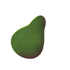 Avocado illustration
