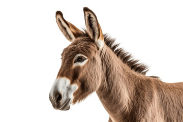 Donkey Head Profile Shot - Isolated on a White Background. Ai