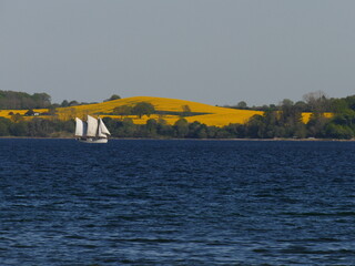 Aabenraa-Fjord, Dänemark