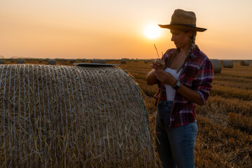 Naklejka na ściany i meble Determined farmer checks hay bale moisture with a tablet. Harmony of tradition and technology. Serene countryside scene.