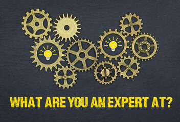 What are you an expert at?	