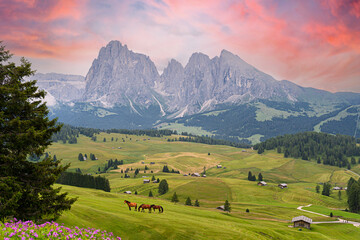 Fototapeta na wymiar alpine meadow in the mountains, Italy, Dolomites, Alpi di Siusi