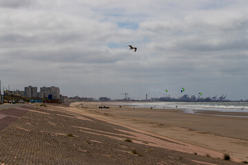 am strand von dünkirchen frankreich