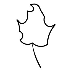 leaf foliage autumn line icon forest element