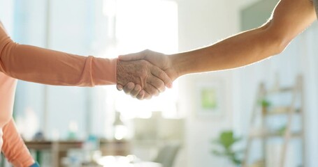 People, handshake and elderly care in thank you for meeting, gratitude or healthy physiotherapy. Man and senior female person shaking hands for welcome, introduction or therapy in support or trust