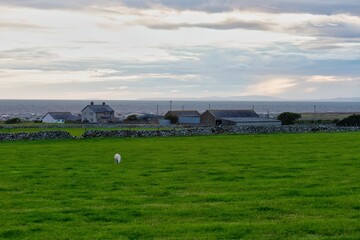 Obraz premium sunset over the countryside and sea