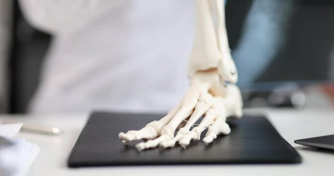 Anatomical model of the foot, part of the skeleton on the table, close-up. Diagnosis of diseases of the joints, x-ray