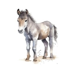 Fototapeta premium Cute young horse on a white background. Generative AI