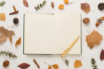 Autumn leaves with notebook on concrete background, top view