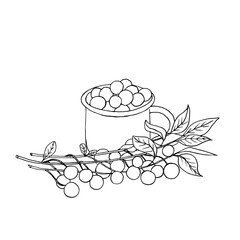 Cherry branches and a mug with berries, drawn in the style of doodles. Vector EPS10.