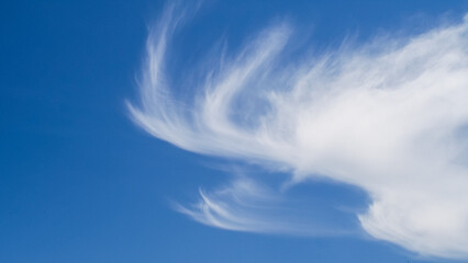 Vue rapprochée sur un panache de Cirrus, par-dessus un ciel bleu pur
