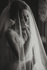 A brunette girl is preparing for the wedding. Portrait photo of the bride in a wedding dress with...