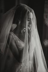 A brunette girl is preparing for the wedding. Portrait photo of the bride in a wedding dress with...