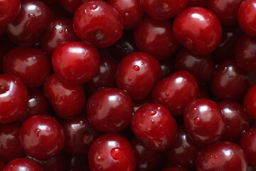Red cherry berries background. Tasty big ripe cropped berries.