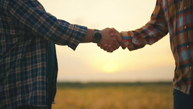 Two men farmers shaking hands concluding business contract on agricultural field at sunset, hands close-up. Cooperation in agriculture, partnership collaboration. Farm, farming, agribusiness concept.