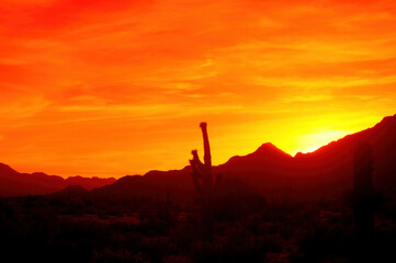 Red Sunset Arizona