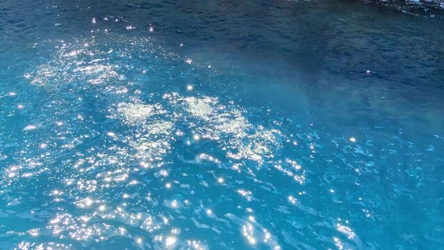 clear blue water with fish and sparkling sunlight