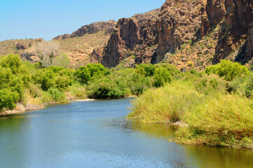 Fototapeta na wymiar Salt River Recreation Area Arizona