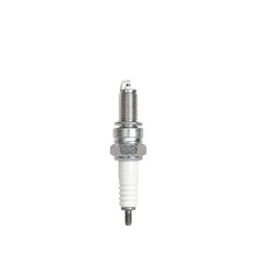 spark plug for car and motor on white background, isolated.