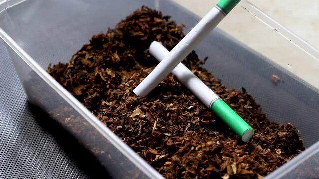 Pinrang, Sulawesi Selatan Indonesia.
Tobacco in a plastic tupperware.
July 14 2023