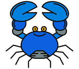 spider