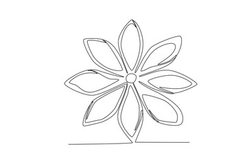 oneline drawing vector Star anise for food and cooking