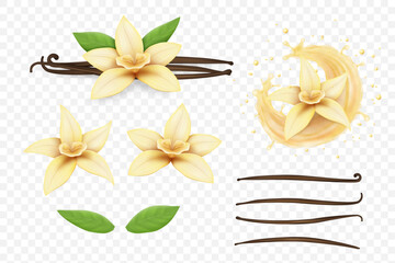 Vanilla flower. Milk splash, bean, pods and sticks, realistic isolated on transparent background elements, flavour cream, perfume aroma, liquid drops. Food and cosmetics packaging. Vector set