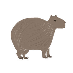 Capybara 
