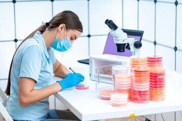 Gene regulation studies: Petri dishes are employed to study gene regul