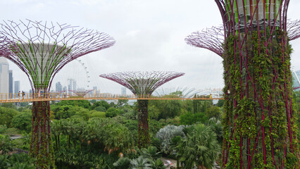 singapore gardens by the bay