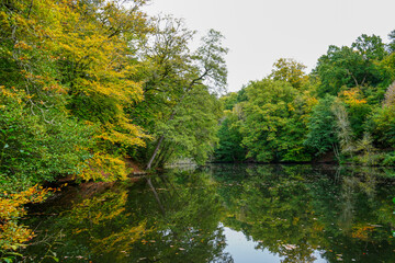 View over a lake surrounded by trees