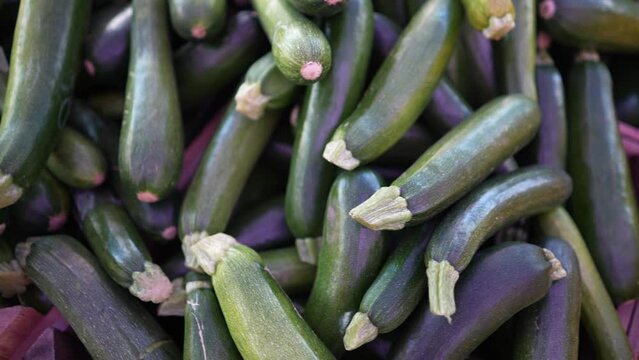 Display of fresh zucchini and yellow squash on display for sale at local farmers market.