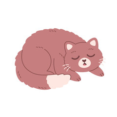 Cute cat sleeping. Home cat life, feline activities. Vector illustration in flat style