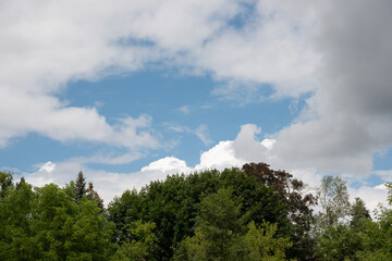 clouds over the park on a humid summer's day