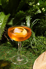 Aperol spritz cocktail in retro glass on rain forest background