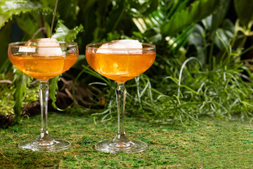 Aperol spritz cocktail in retro glasses on rain forest background