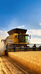 Harvester combine working on a field in afternoon, front wide angle view, golden wheat field foreground - agriculture concept. Generative AI