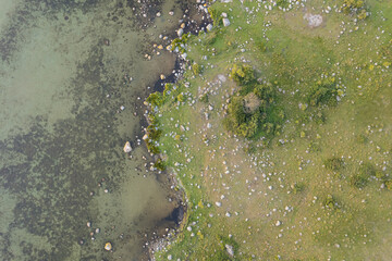 Aerial view of a beautiful maritime landscape with wild nature, many stones trees and grass. Little island with wild nature. Wild beach, pasture. 