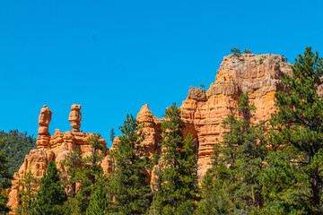 Red Rock Cliffs Above The Pine Forest, Red Canyon, Dixie National Forest, Utah, USA