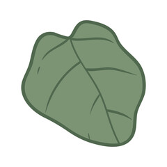 Tropical leaves Elements. Hand-drawn vector illustration. Tropical leaves and abstract exotic plan vector design elements on the white background.