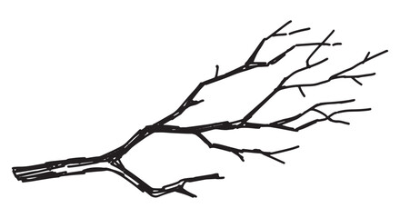 Outline clipart of bare branch. Doodle of tree without leaves. Hand drawn vector illustration isolated on white background.